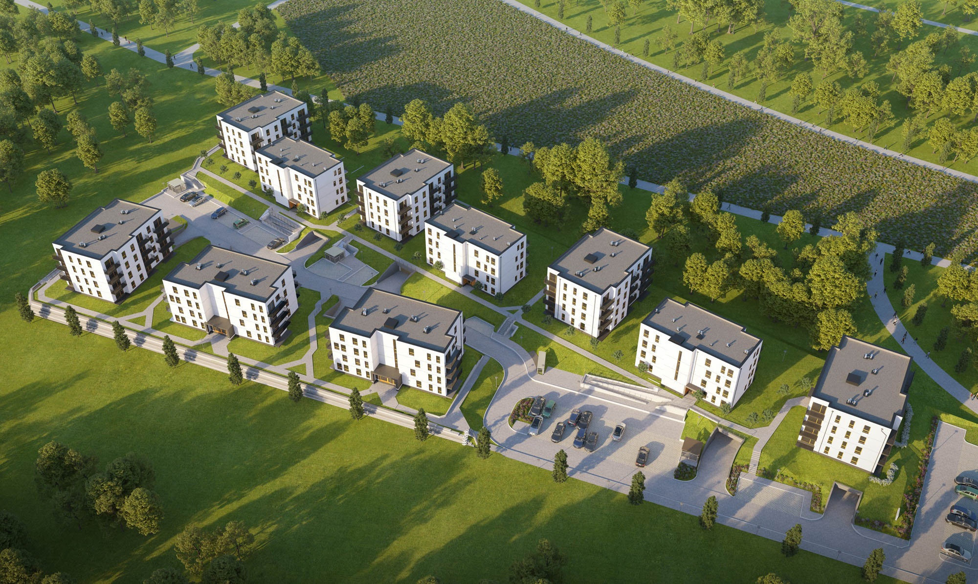 Kameralna zielona okolica